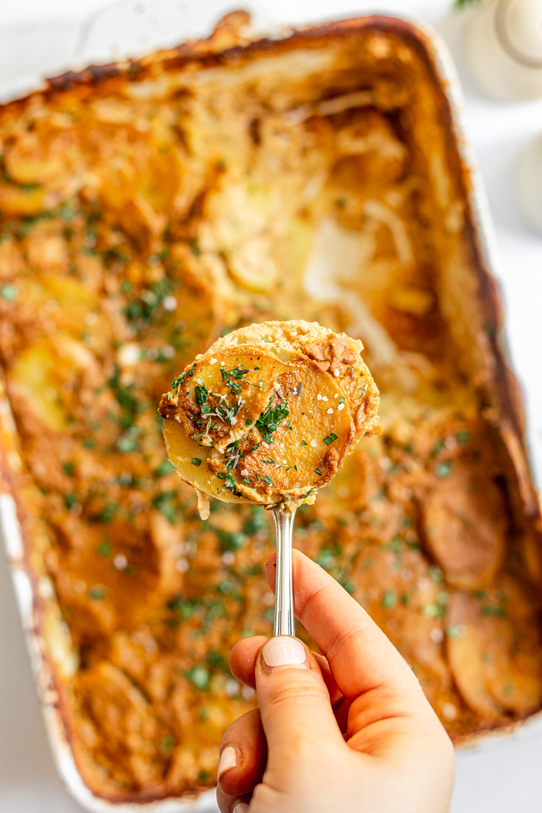Vegan Gluten Free Scalloped Potatoes (NutFree)